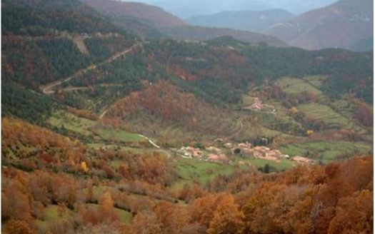 Сколько стоят охотничьи угодья