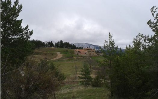 Как купить Coto de Caza в Испании: законы, лицензии и процедура