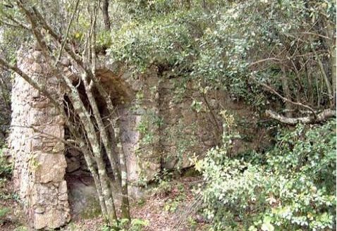 Лучшие регионы для покупки охотничьих угодий в Испании