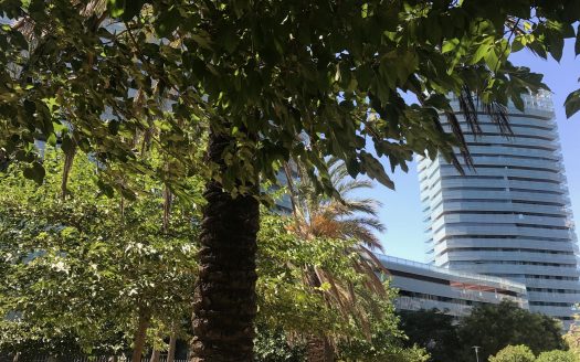 Подоходный налог в Испании