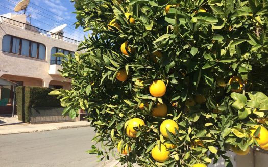 Налог для нерезидентов в Испании 2