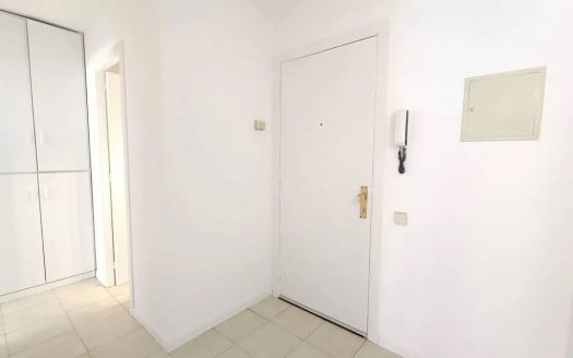 Прихожая квартиры с белыми стенами, входной дверью и встроенным шкафом.