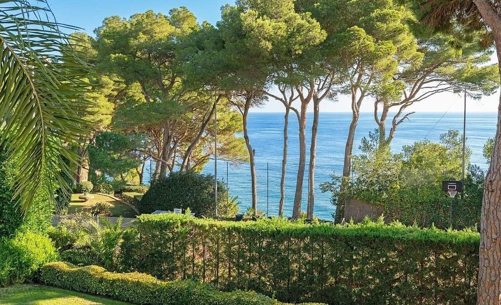 Вид на сад и море с территории виллы в Сант-Антонио-де-Калонже