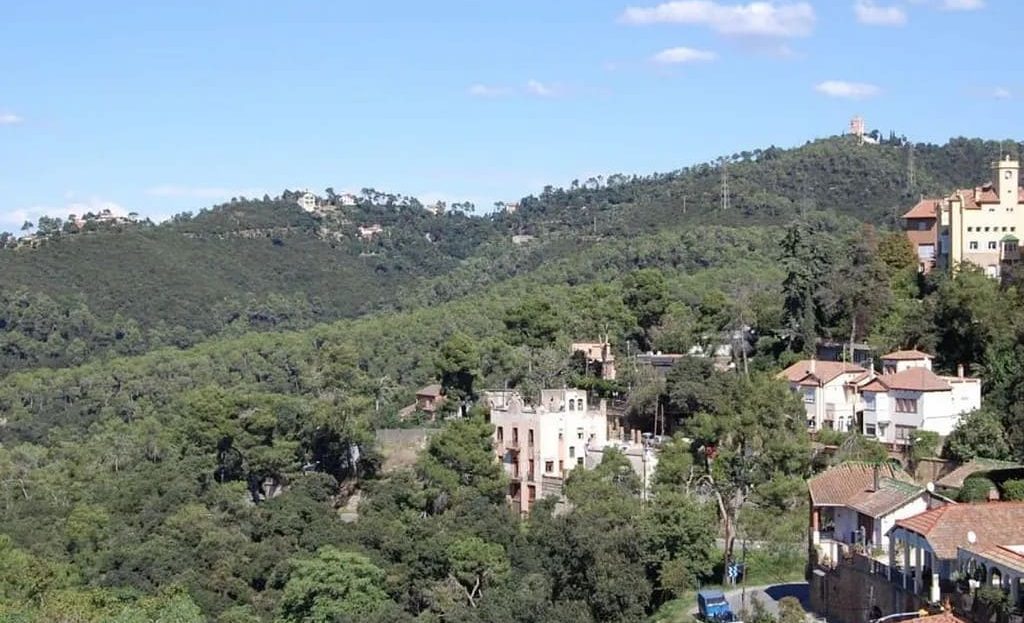 Панорамный вид на зеленые холмы и застройку района Vallvidrera