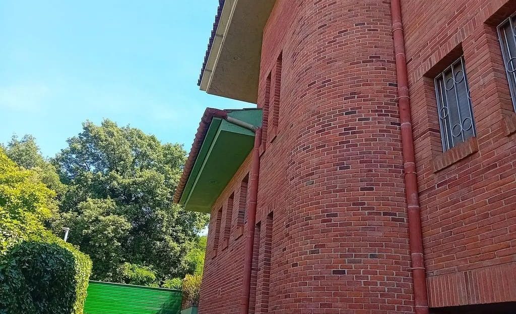 Боковой фасад дома и зелёная зона участка