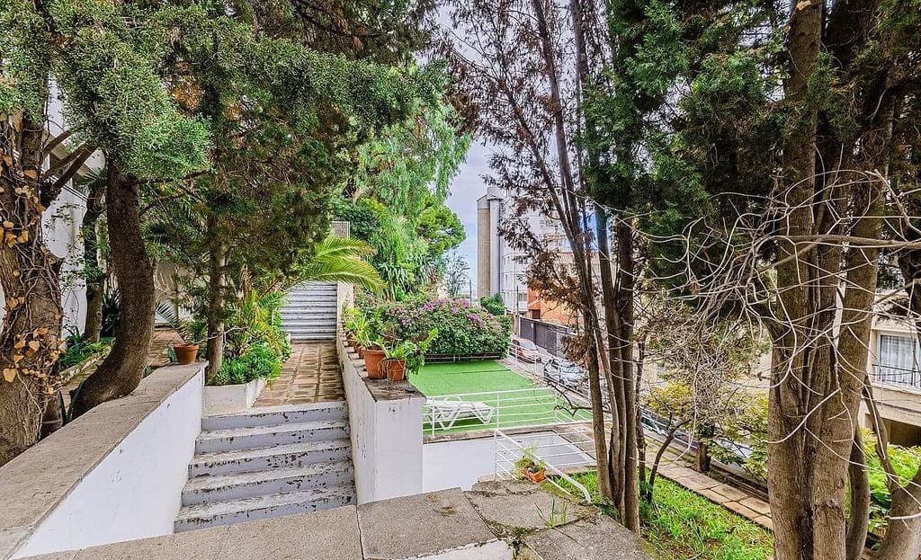 Ландшафтный сад с лестницей и деревьями вокруг дома