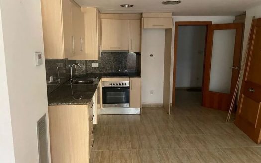 Вид на кухню и входную зону студии