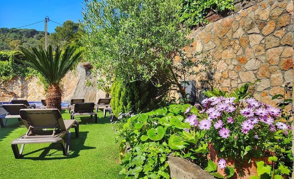 Сад участка с растениями и зелёной зоной