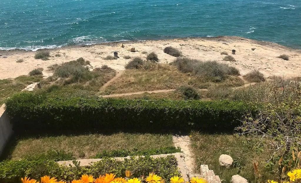 Вид на побережье и природный ландшафт рядом с домом