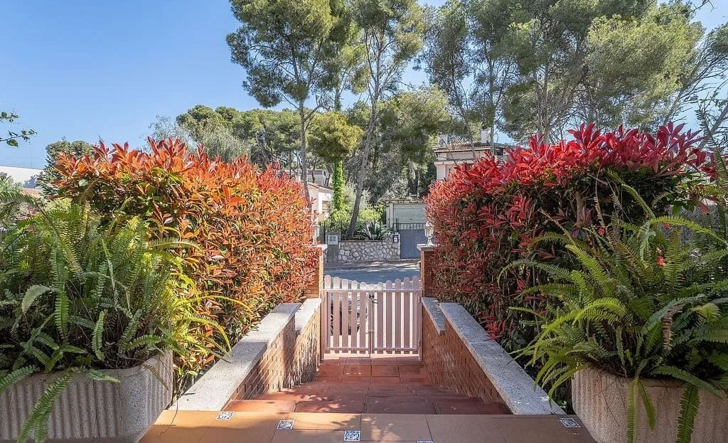 Вход на территорию виллы через сад с зелёными насаждениями