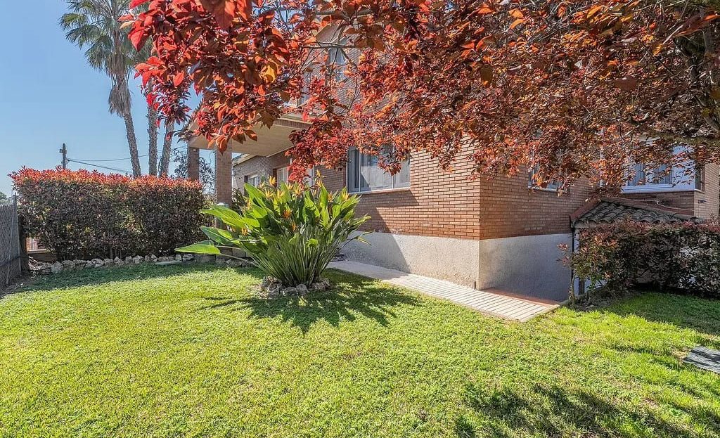 Ухоженный сад с газоном рядом с домом