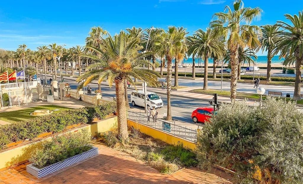 Вид на пальмы и променад с территории участка