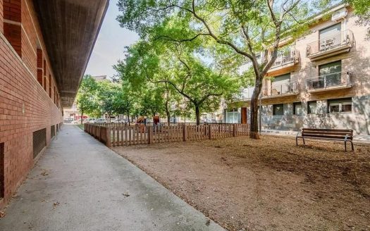 Дворовая зона с деревьями и фасадом жилого здания