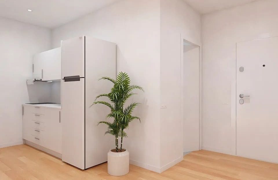 Прихожая с встроенным шкафом, холодильником и комнатным растением.