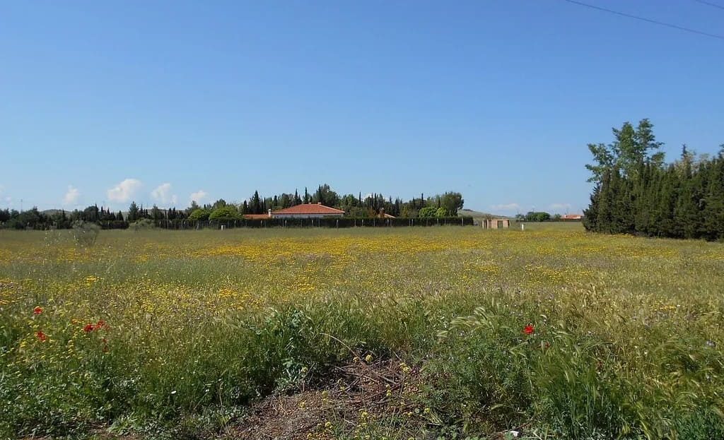 Участок 4000 м² в Реус — вид на открытую равнину с растительностью и голубым небом