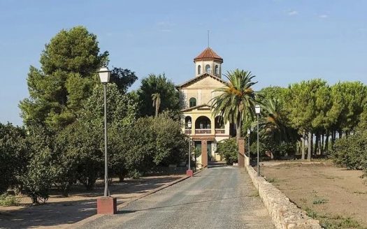 Въездная аллея к историческому поместью, окружённая соснами