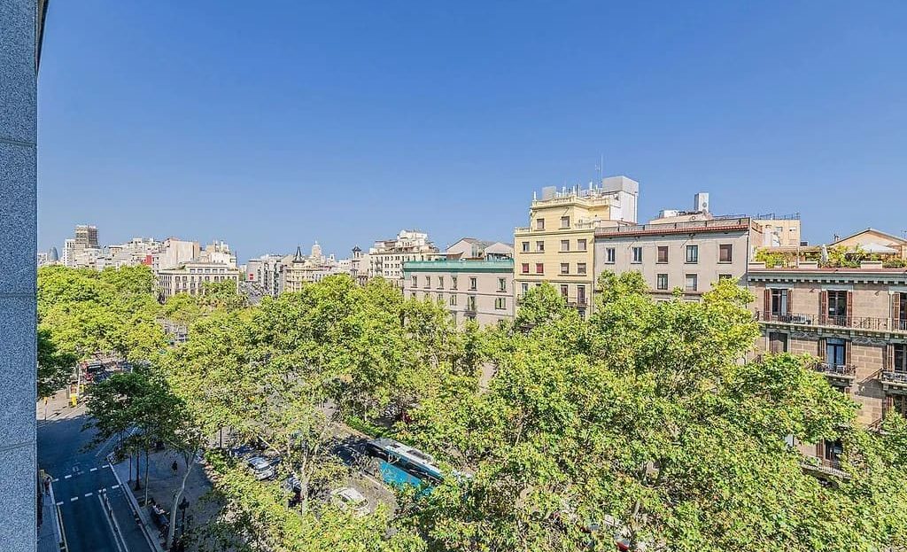 Вид на зелёный бульвар из пентхауса в L’Antiga Esquerra de l’Eixample