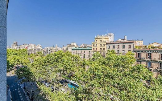 Вид на зелёный бульвар из пентхауса в L’Antiga Esquerra de l’Eixample