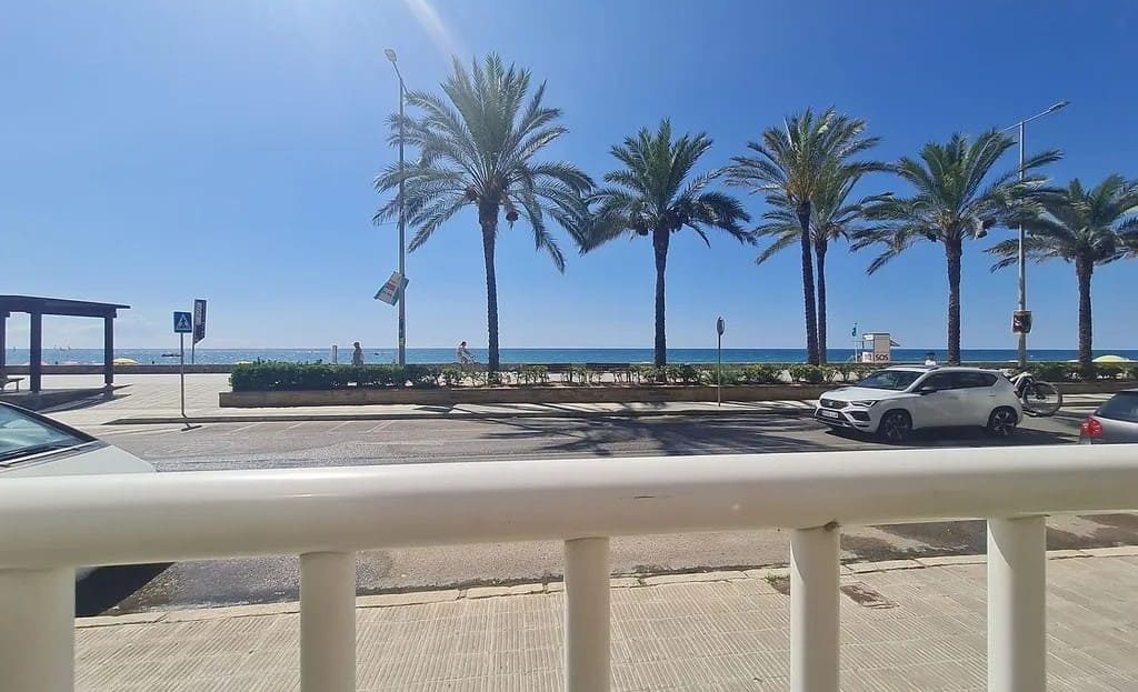 Вид на пляж Калафеля и пальмы с набережной перед домом.
