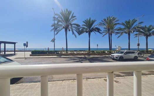 Вид на пляж Калафеля и пальмы с набережной перед домом.