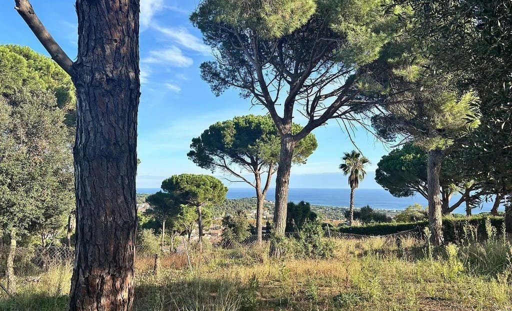 Земельный участок с соснами и частичным видом на море.