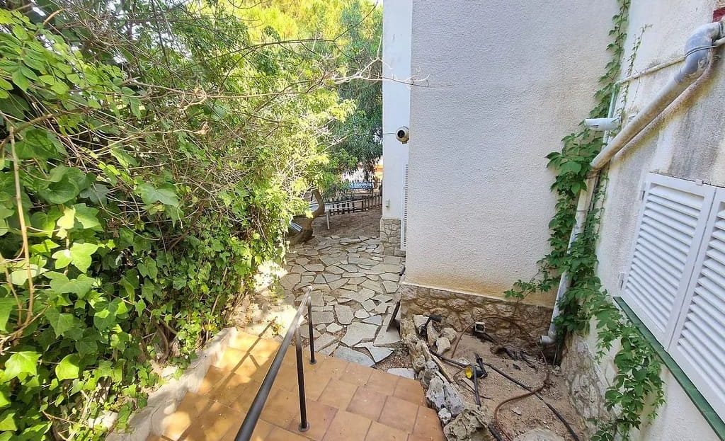 Проход вдоль дома с садовой растительностью