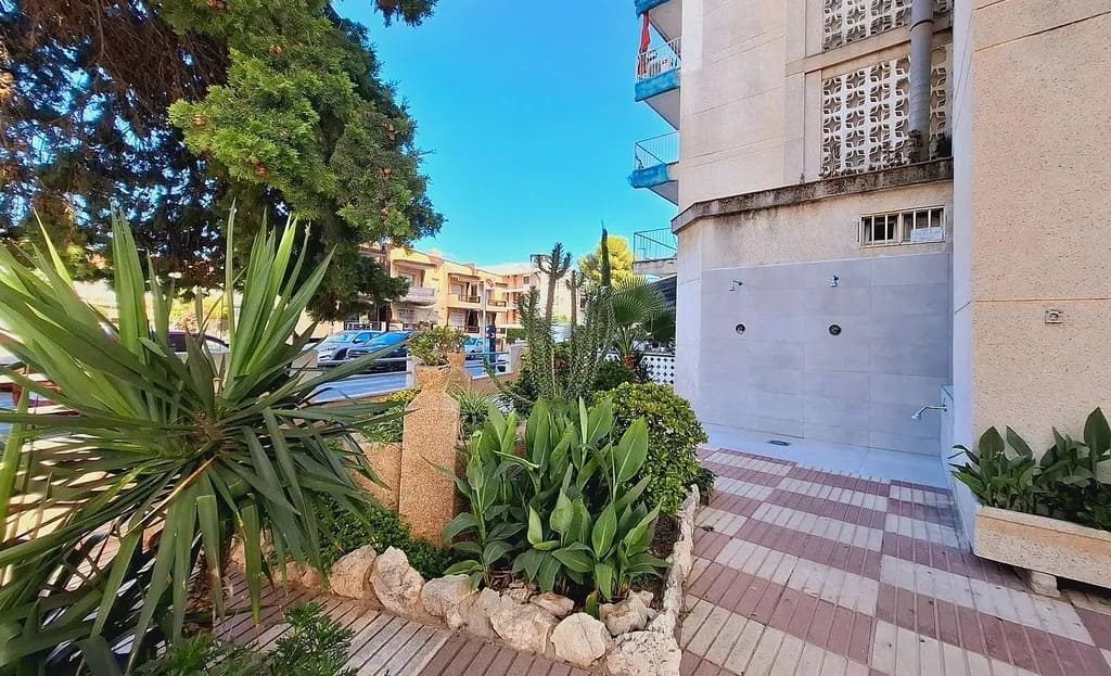 Благоустроенная территория возле дома с растениями и плиточным покрытием.