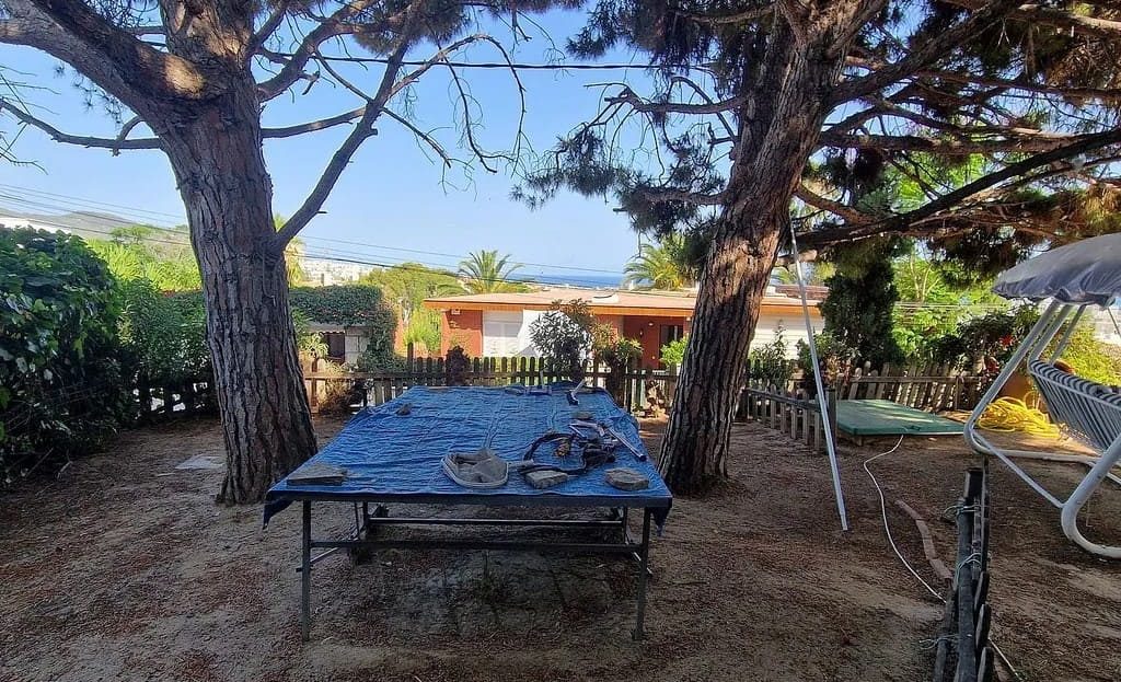 Садовый участок с деревьями и зоной отдыха возле дома