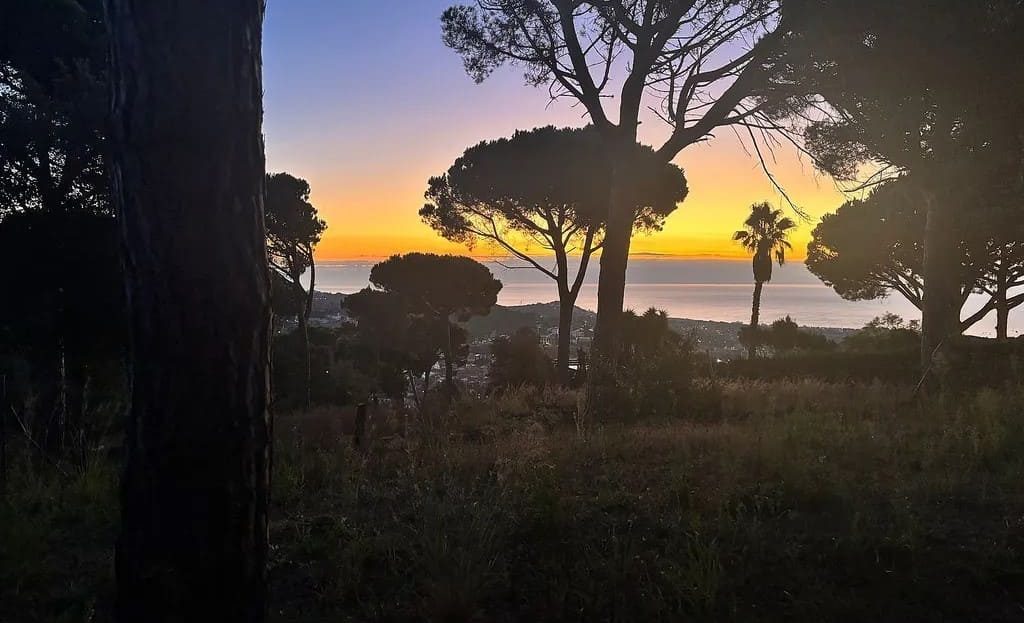 Закат в сосновом лесу рядом с участком, вид в сторону моря.