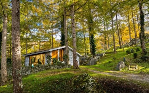 Эко-отели и глэмпинг в Испании: новый золотой стандарт инвестиций