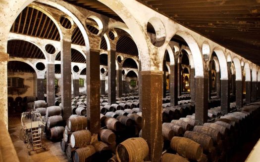 Винодельни в Испании: инвестиции в бодеги, виноградники и энотуризм