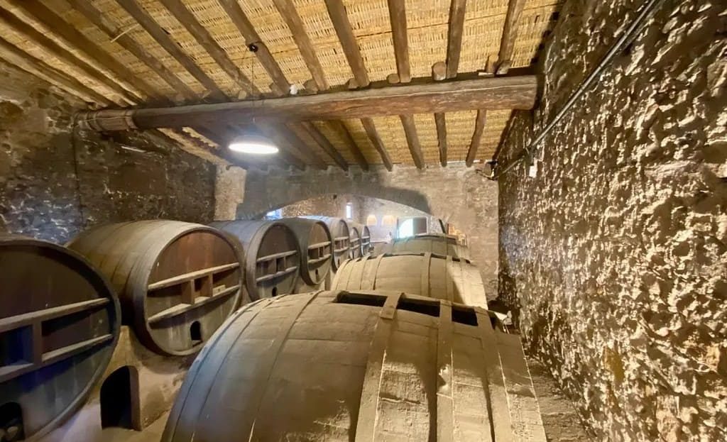 Исторические винные погреба (бодеги) с дубовыми бочками на винодельне в Испании.
