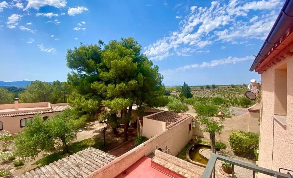 Панорамный вид с террасы усадьбы на бескрайние виноградники в Испании в Приорате.