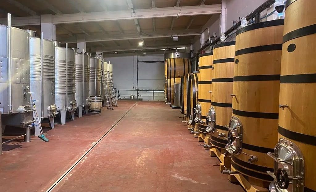 Современный производственный зал винодельни в Испании с рядами деревянных бочек для выдержки.
