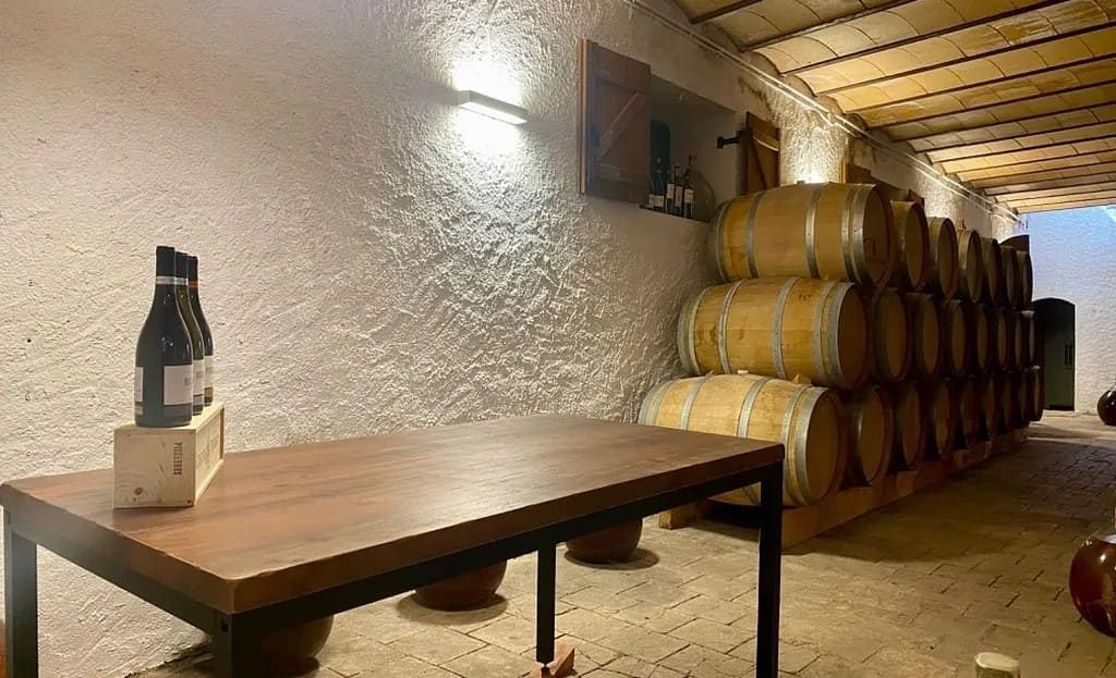 Зал для дегустаций на территории эксклюзивной винодельни в Испании (Коста-Дорада).