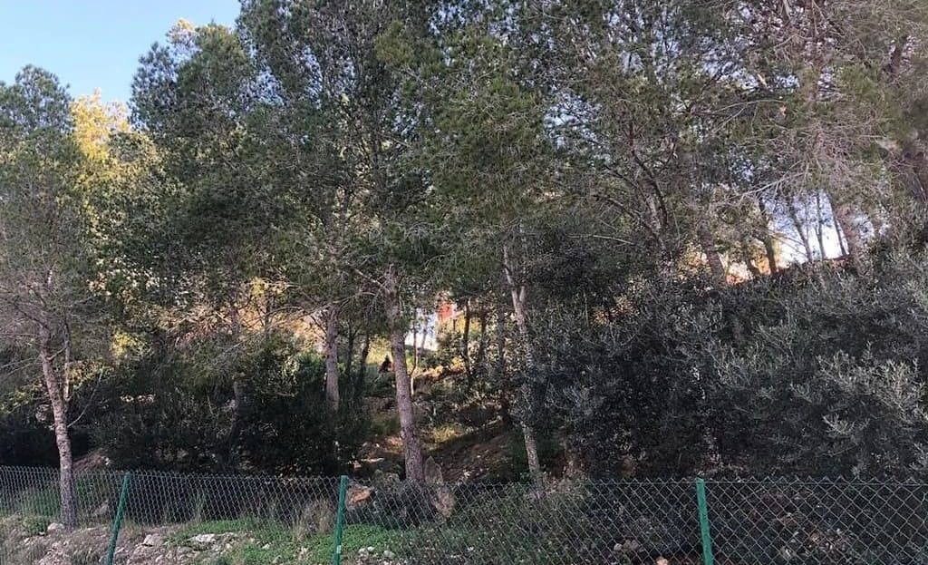 Вид с дороги на огороженный земельный участок в Кап Салоу. Снимок сделан снизу вверх через сетчатый забор, показывая крутой склон, поросший сосновым лесом и дикими кустарниками, что подтверждает информацию о рельефе в описании