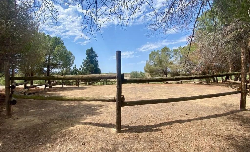 Зона для выгула или манеж на территории поместья винодельни в Испании (агротуризм).