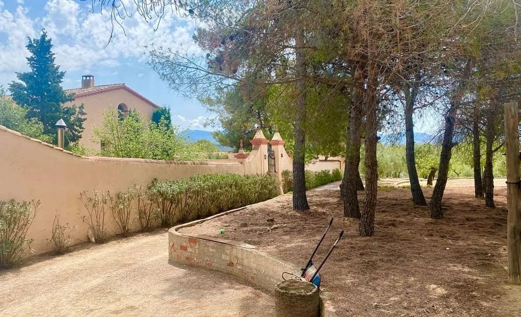 Подъездная аллея, окруженная деревьями, ведущая к гостевой зоне винодельни в Испании.